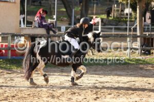 Poney_4_CSO_14h16_091.jpg