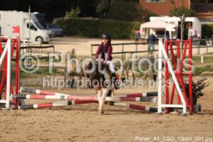 Poney_A1_CSO_13h01_001.jpg