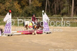 Poney_A1_CSO_13h01_004.jpg