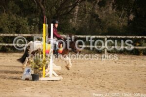 Poney_A1_CSO_13h01_005.jpg