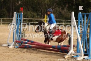 Poney_A1_CSO_13h02_011.jpg