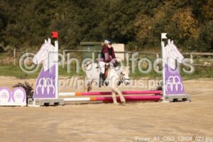 Poney_A1_CSO_13h04_022.jpg