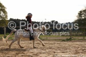 Poney_A1_CSO_13h05_026.jpg