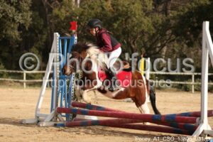 Poney_A1_CSO_13h05_031.jpg