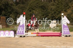 Poney_A1_CSO_13h06_032.jpg