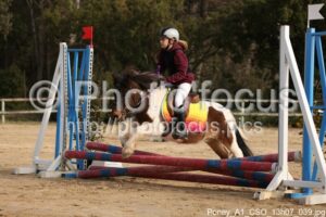 Poney_A1_CSO_13h07_039.jpg
