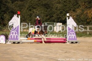 Poney_A1_CSO_13h07_040.jpg
