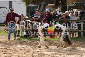 Poney_A1_CSO_13h08_046.jpg