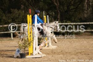 Poney_A1_CSO_13h08_051.jpg