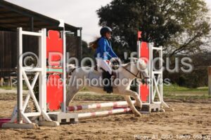 Poney_A1_CSO_13h09_053.jpg