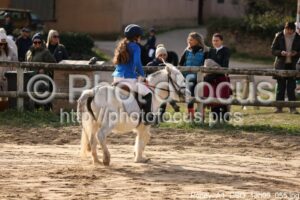 Poney_A1_CSO_13h09_055.jpg