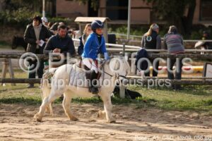 Poney_A1_CSO_13h09_056.jpg