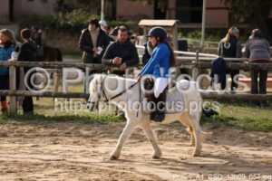 Poney_A1_CSO_13h09_057.jpg