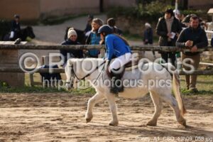 Poney_A1_CSO_13h09_058.jpg