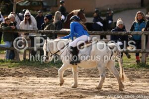 Poney_A1_CSO_13h09_059.jpg