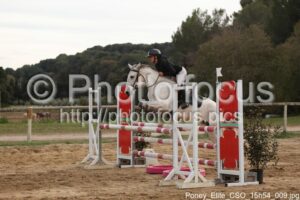 Poney_Elite_CSO_15h54_009.jpg