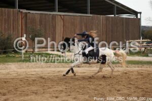 Poney_Elite_CSO_15h56_020.jpg