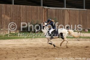 Poney_Elite_CSO_15h56_021.jpg