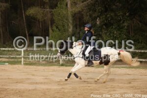 Poney_Elite_CSO_15h56_024.jpg