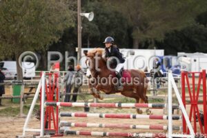 Poney_Elite_CSO_15h58_035.jpg