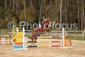 Poney_Elite_CSO_15h59_038.jpg