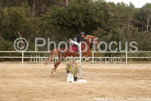 Poney_Elite_CSO_15h59_039.jpg