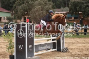 Poney_Elite_CSO_16h00_042.jpg