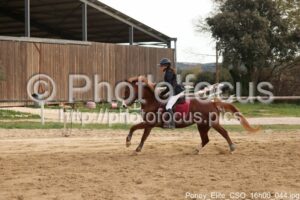 Poney_Elite_CSO_16h00_044.jpg