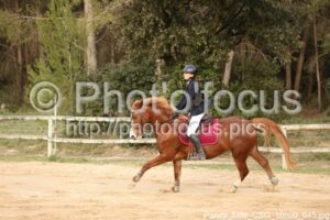Poney_Elite_CSO_16h00_045.jpg