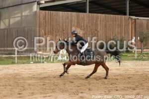 Poney_Elite_CSO_16h02_057.jpg
