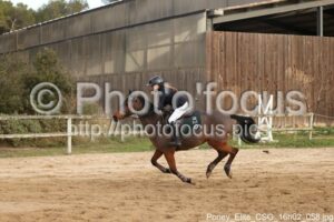 Poney_Elite_CSO_16h02_058.jpg