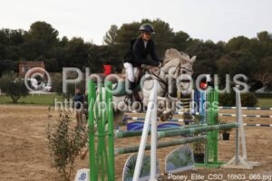 Poney_Elite_CSO_16h03_065.jpg