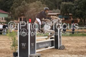 Poney_Elite_CSO_16h03_066.jpg