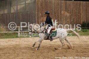 Poney_Elite_CSO_16h03_068.jpg