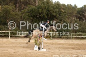 Poney_Elite_CSO_16h04_073.jpg