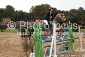 Poney_Elite_CSO_16h05_077.jpg