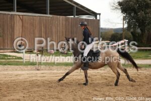Poney_Elite_CSO_16h06_081.jpg