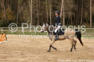 Poney_Elite_CSO_16h06_083.jpg