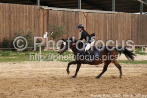 Poney_Elite_CSO_16h08_097.jpg