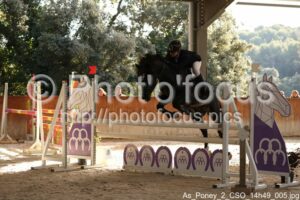 As_Poney_2_CSO_14h49_005.jpg