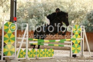 As_Poney_2_CSO_14h49_006.jpg