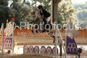 As_Poney_2_CSO_14h51_014.jpg