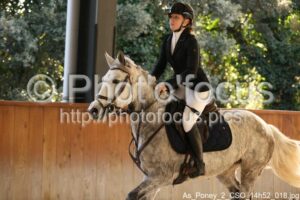 As_Poney_2_CSO_14h52_018.jpg