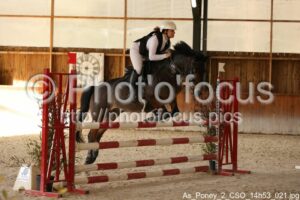 As_Poney_2_CSO_14h53_021.jpg
