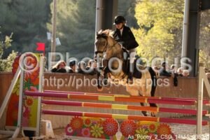As_Poney_2_CSO_14h55_035.jpg