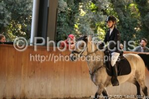 As_Poney_2_CSO_14h55_037.jpg