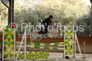 As_Poney_2_CSO_14h57_043.jpg