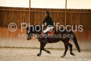 As_Poney_2_CSO_14h59_058.jpg
