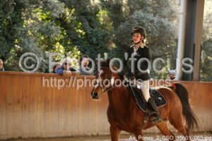 As_Poney_2_CSO_15h01_065.jpg