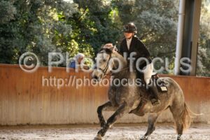 As_Poney_2_CSO_15h06_085.jpg